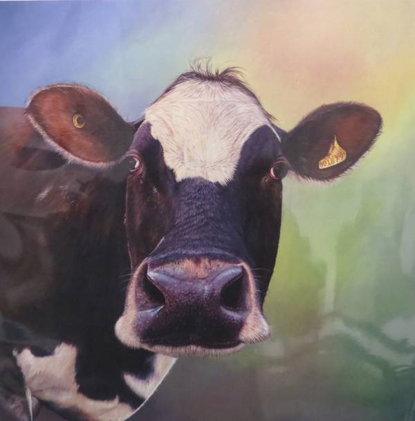 - a , Print by Nicholas Smith, measuring 36 x 36 cm (H x W) framed at 53 x 53 cm £75